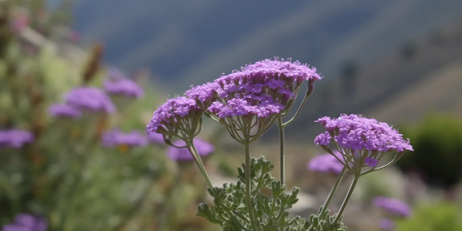 Jak przygotować ogród warzywny na zimę?