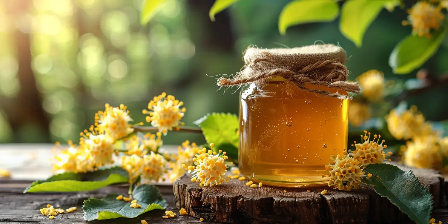 Jaki miód stosuje się w chorobach skóry?