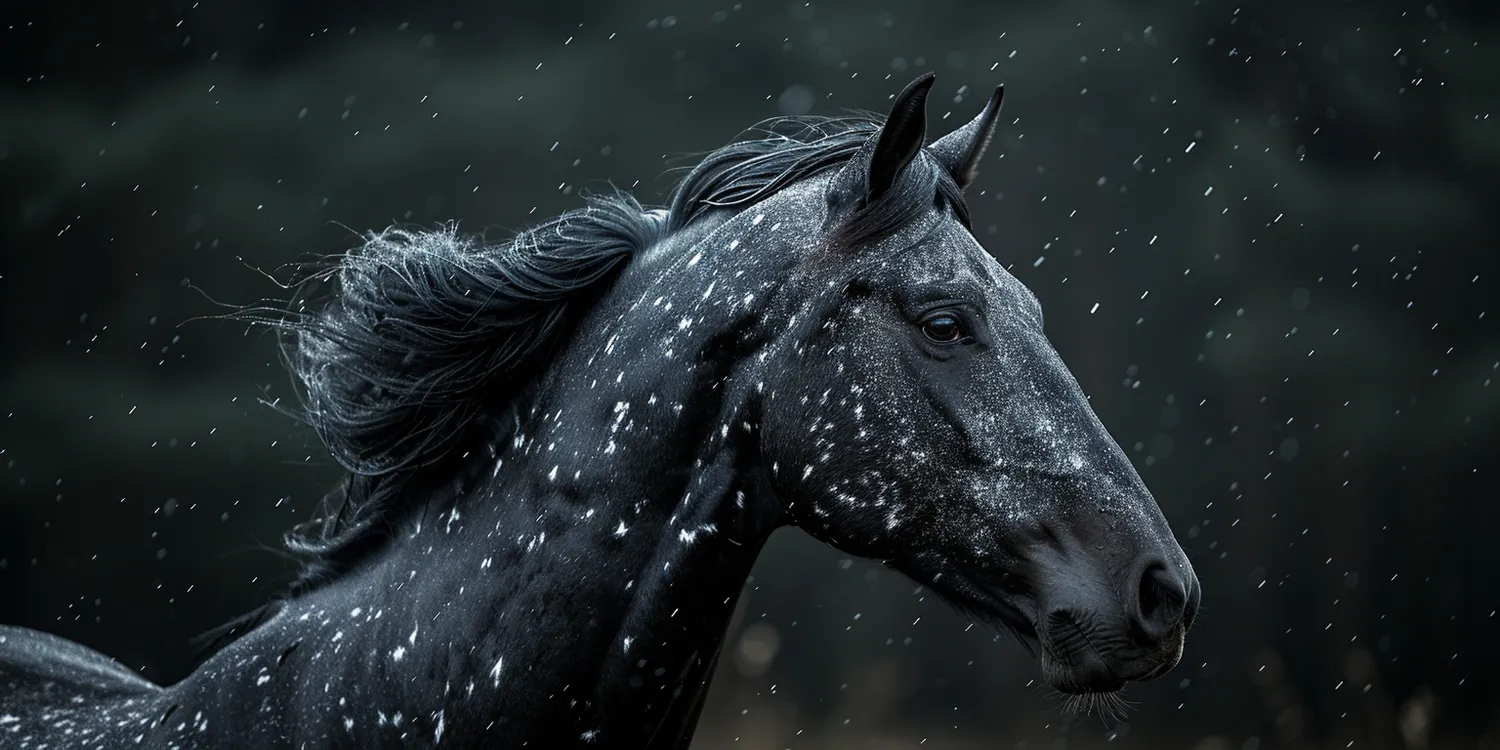 Jak podnieść się po śmierci pupila?