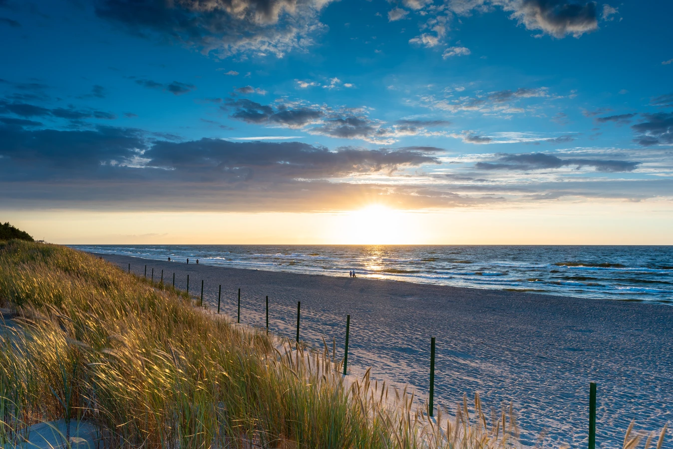 Trawa z rolki jak kłaść?